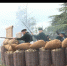 На Малаховом кургане прошел V Международный фестиваль «Русская Троя» - Crimea-news.com