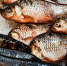 Как выбрать качественную рыбу и морепродукты – рекомендации эксперта - Crimea-news.com
