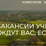 Минобразования РК объявляет дополнительный конкурсный отбор претендентов для участие в программе «Земский учитель» - Crimea-news.com