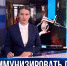 В Севастополе начали вакцинацию лошадей от лептоспироза - Crimea-news.com