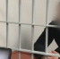 СК предъявил обвинения в резонансном убийстве двум жителям Ялты - Crimea-news.com