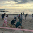 В Керчи проходит День чистоты - Crimea-news.com