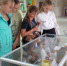 Выставка «Тебе любимый город» - Crimea-news.com