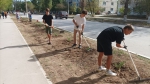 В городе прошел субботник