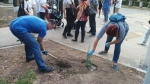 В городе прошел субботник