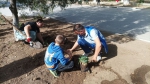 В городе прошел субботник