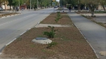 В городе прошел субботник