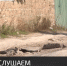 Ревизия в Черноморском районе продолжается - Crimea-news.com