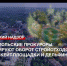 Севастопольские прокуроры контролируют оборот стройотходов, ремонт скейт-площадки и дельфинарии - Crimea-news.com
