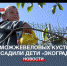 В детском саду «Экоград» высадили 80 можжевеловых кустов - Crimea-news.com