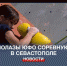 В Севастополе проходят Первенство и Чемпионат Южного федерального округа по скалолазанию - Crimea-news.com