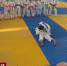 Спорт 24. В Симферополе прошёл мастер-класс прославленного российского дзюдоиста Юрия Стёпкина - Crimea-news.com