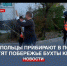 Субботники: в Севастополе прибирают в подвалах и чистят побережье бухты Круглой - Crimea-news.com