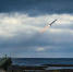 США передадут Украине восемь систем ПВО NASAMS — Пентагон - Crimea-news.com