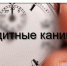 Кредитные каникулы - Crimea-news.com