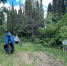 Крымские партийцы облагородят территорию скейт-парка - ЛДПР