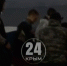 В Севастополе очевидцы сняли момент, как дельфинов перемещали в море - Crimea-news.com