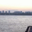 Росприроднадзор считает низкими шансы найти выпущенных в воду дельфинов в Севастополе - КрымИнформ