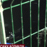 У владельца севастопольского дельфинария изъяли семь морских котиков - Crimea-news.com