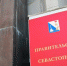 Трупы дельфинов в Севастополе не принадлежат скандальному предприятию - Вести Крым