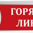 Работает телефон «Горячей линии» для приема обращений от населения по вопросам легализации трудовых отношений - Crimea-news.com