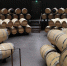 Территории Центра винного туризма Winepark - Туристический портал