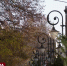 Медики рассказали, как справиться с осенней хандрой - Crimea-news.com
