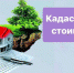 Минимуществом Крыма в 2022 году проведено 580 выездных обследований зданий и нежилых помещений на территории республики - Crimea-news.com