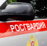 Росгвардейцы задержали правонарушителей в севастопольских кафе - Росгвардия