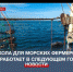 Первая в Севастополе школа для морских фермеров заработает в следующем году - Crimea-news.com