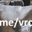 ВСУ из HIMARS ударили по гостинице в Мелитополе: есть погибшие и раненые - Crimea-news.com