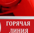 «Горячая линия» по вопросам качества и безопасности детских товаров, выбора новогодних подарков - Crimea-news.com