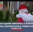 Новогодняя ярмарка и ёлочные базары заработали в Севастополе - Crimea-news.com