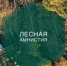 В Крыму продлили «лесную амнистию» - Вести Крым