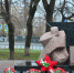 Симферополь, мемориал погибшим в Афганской войне. - Крымская правда