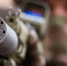 В ЛНР ликвидировали агента СБУ - Crimea-news.com