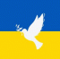 Экстрасенс предрек завершение конфликта на Украине в 2023 году - Вести Крым