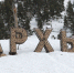 Горный курорт "Архыз" продадут с аукциона частному инвестору - Crimea-news.com