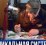 За экологическоим состоянием Чёрного моря в Севастополе наблюдают с помощью мидий - Crimea-news.com