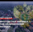 Помощь многодетной матери и обеспечение медизделиями детей-инвалидов – итоги работы Прокуратуры - Crimea-news.com