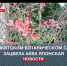 Предвестники весны в Крыму: в Никитском ботаническом саду зацвела айва - Crimea-news.com