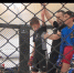 Спортсмены из Севастополя и Крыма приняли участие в ежегодном чемпионате по MMA - Crimea-news.com