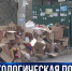 В Севастополе ликвидируют свалки отходов на Суздальских высотах и в Трензиной балке - Crimea-news.com