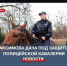 Конная полиция Севастополя патрулирует Максимову дачу - Crimea-news.com