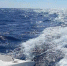 Между Крымом и Ростовом могут создать морской маршрут - 3652.Ru