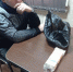 Главу «Севгеоцентра» заключили под стражу по подозрению в коррупции - Crimea-news.com