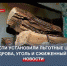 Правительство Севастополя установило льготные цены на дрова, уголь и сжиженный газ - Crimea-news.com