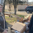 Санитарная очистка и уборка городских территорий – в постоянном поле зрения властей - Crimea-news.com