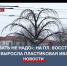 «Поливать не надо»: на площади Восставших устанавливают пластиковую иву - Crimea-news.com