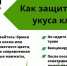 ООО "Арсенал медицинское страхование" напоминает о предстоящем сезоне активности клещей и рекомендует пройти вакцинацию - Crimea-news.com